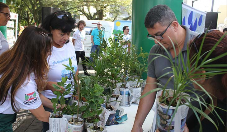 (foto: divulgação)