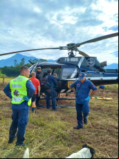 Notícia - Atacado por marimbondos, homem é socorrido de helicóptero em Nova Veneza